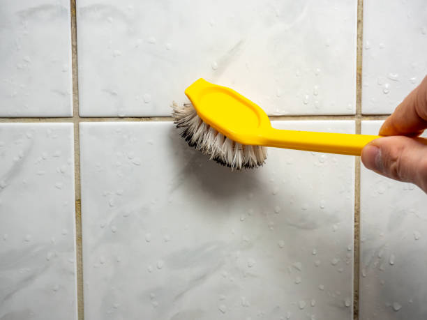 Best Mold Removal Company Near Me  in Luck, WI