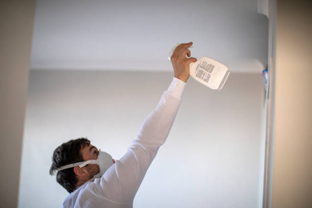 Mold Removal Process in Luck, WI