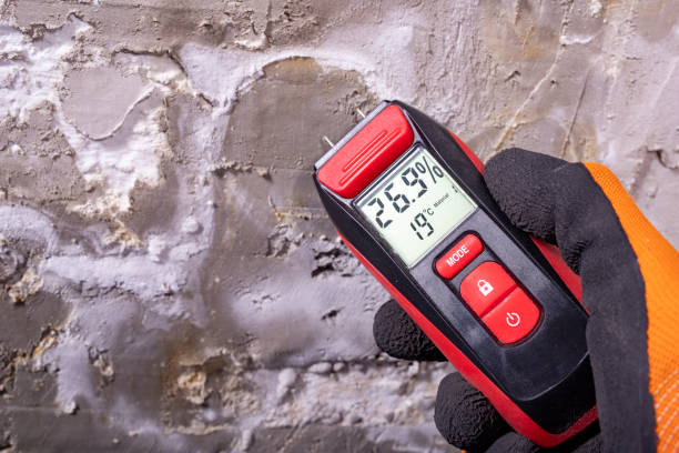 Best Fast Mold Removal  in Luck, WI