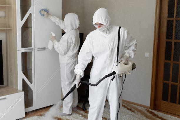 Best Office Mold Removal Services  in Luck, WI
