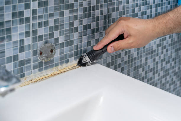 Mold Removal and Inspection in Luck, WI